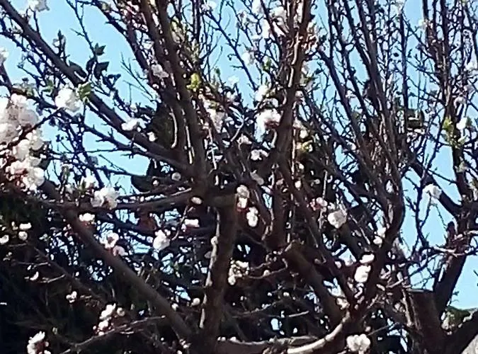 Habitación en casa particular Nenna